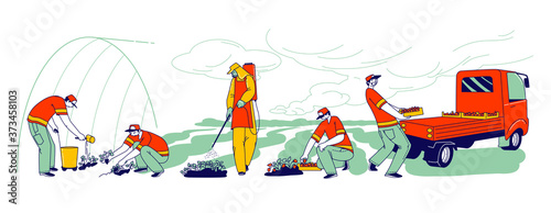 Strawberry Farm Workers Care, Picking and Loading Fresh Berries for Distribution. Immigrants or Volunteers Characters