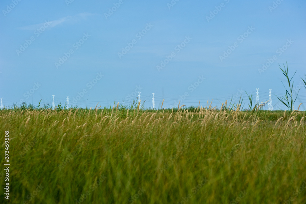 Thr landscape of green field and agtated torpedo. Thr landscape of green field and agtated torpedo.