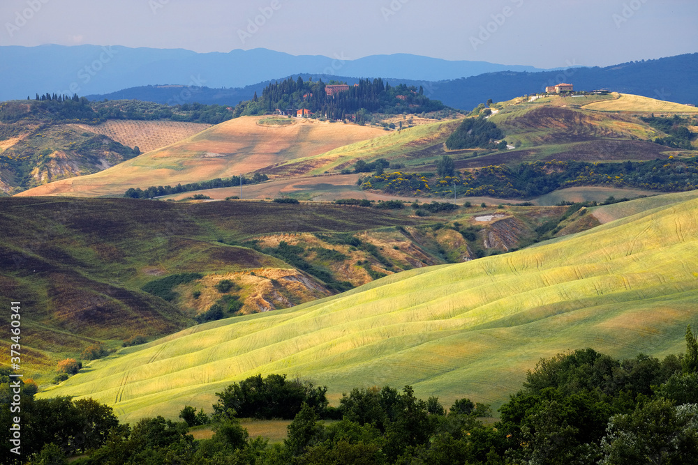 Summer landscape of Tuscany landscape, Italy