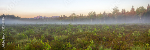 Morning haze over the Schoenramer Filz high moor, with the view to the Hohenstaufen mountain range, in the Rupertiwinkel, South Germany