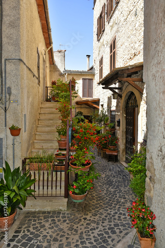 Fototapeta Naklejka Na Ścianę i Meble -  A small street between the old houses of Giuliano di Roma, of a medieval village in the Lazio region, Italy.