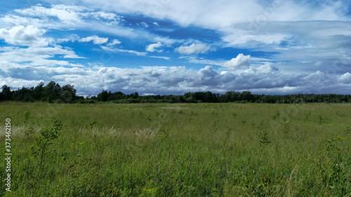 The landscape of a wild overgrown field with grass and young shoots of shrubs under a beautiful blue sky  which is covered with clouds of different types and shapes.