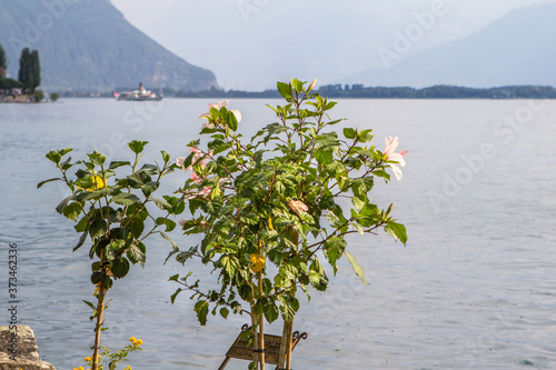 Geneva lake panorama, Switzerland