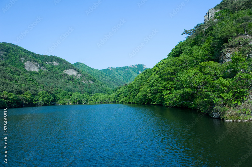 The beautiful landscape of lake side and forest at summer.
