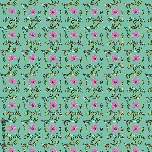 Orchids. 12