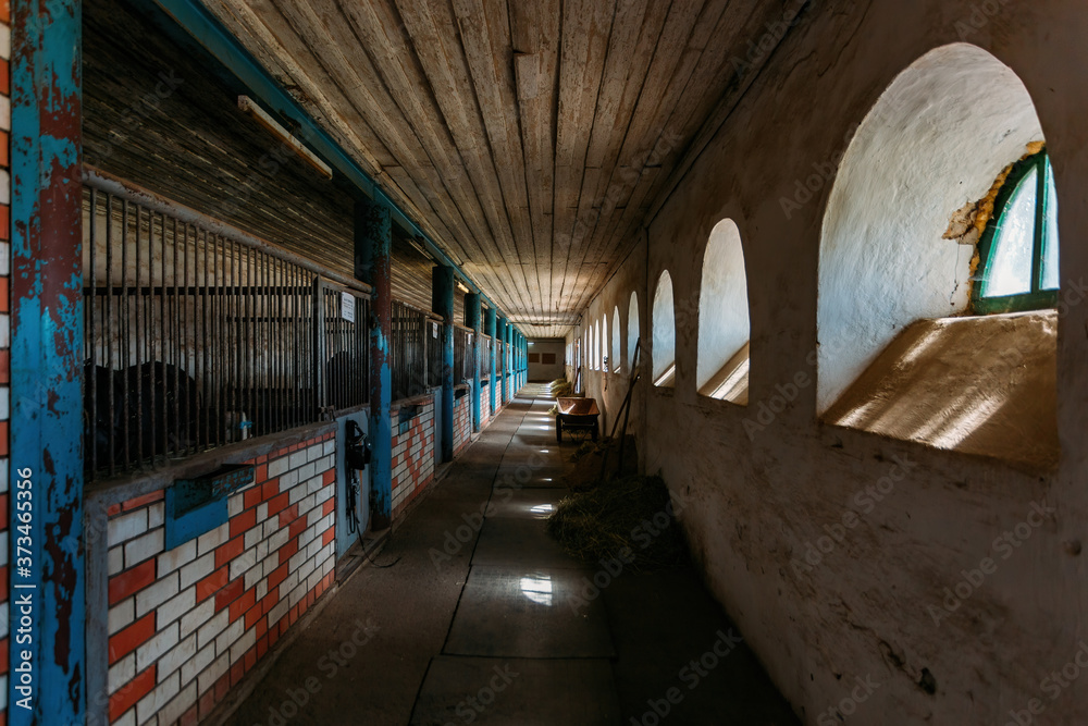 Old historical horse stable with loose horse boxes, tunnel view