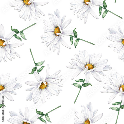 seamless pattern with white flowers daisies on a white background, close up