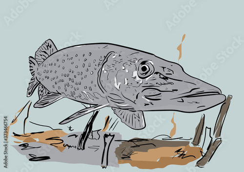 predator in the river