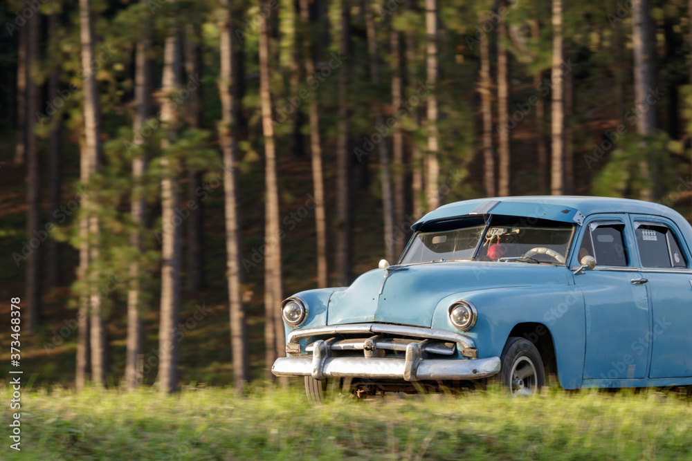 Blue classic car in the forest of cuba