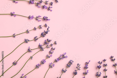 Beautiful lavender flowers on pink background, flat lay. Space for text