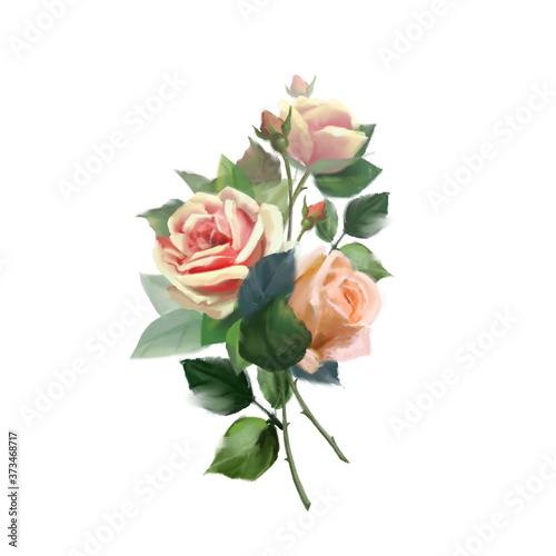 Hand drawn flowers. Bouquet of roses isolated on white © Gribanessa