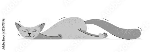 Cute cat sleeping very tired vector illustration, domestic pet cartoon.