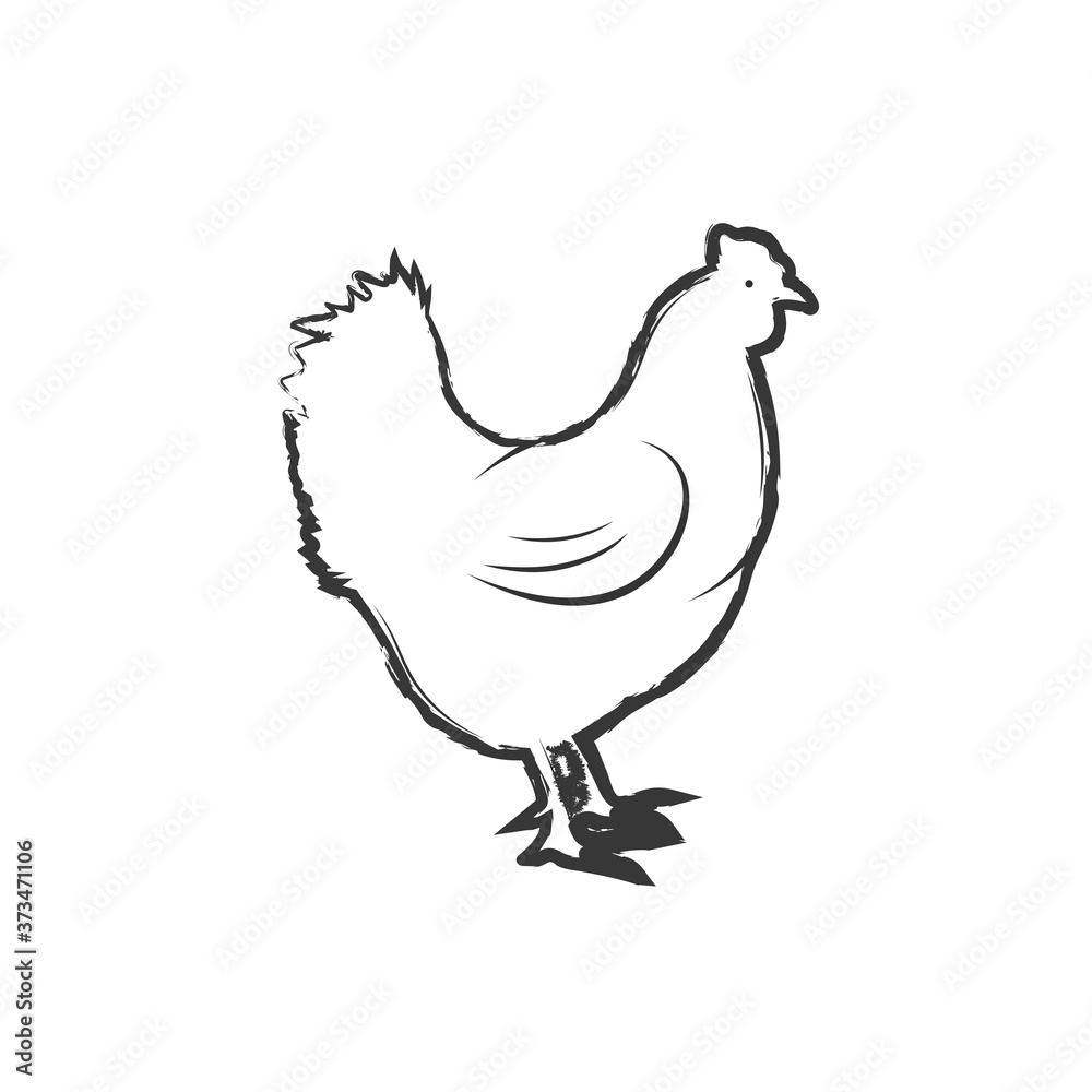 Chicken sketch icon line isolated on white background vector