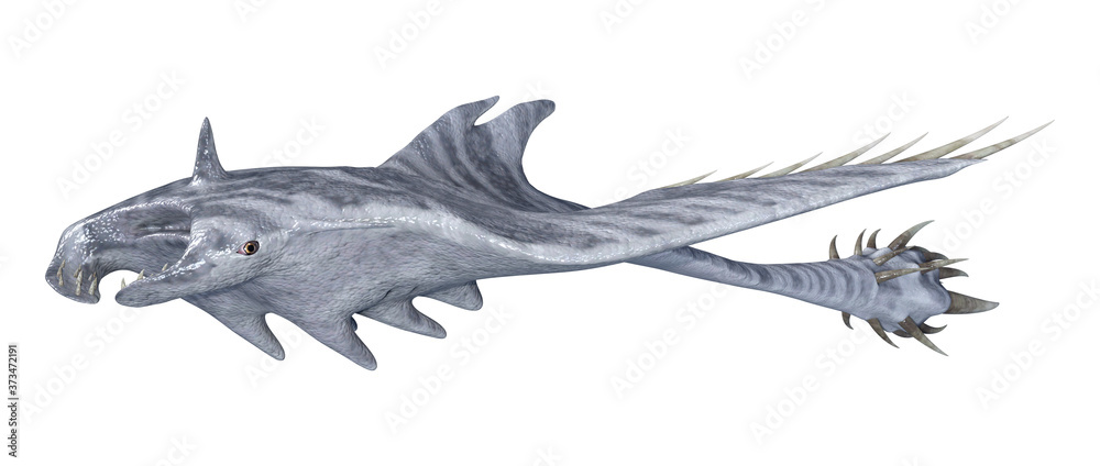 Fototapeta premium 3D Rendering Devil Ray on White