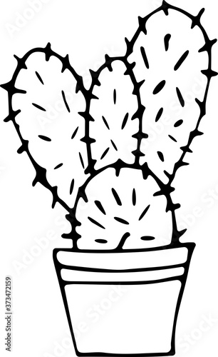 Vector illustration of a potted house plant cactus in the Doodle style. The concept of comfort, greenery, home decor, ecology. Can be used for fabric, books, textiles, web, Wallpaper