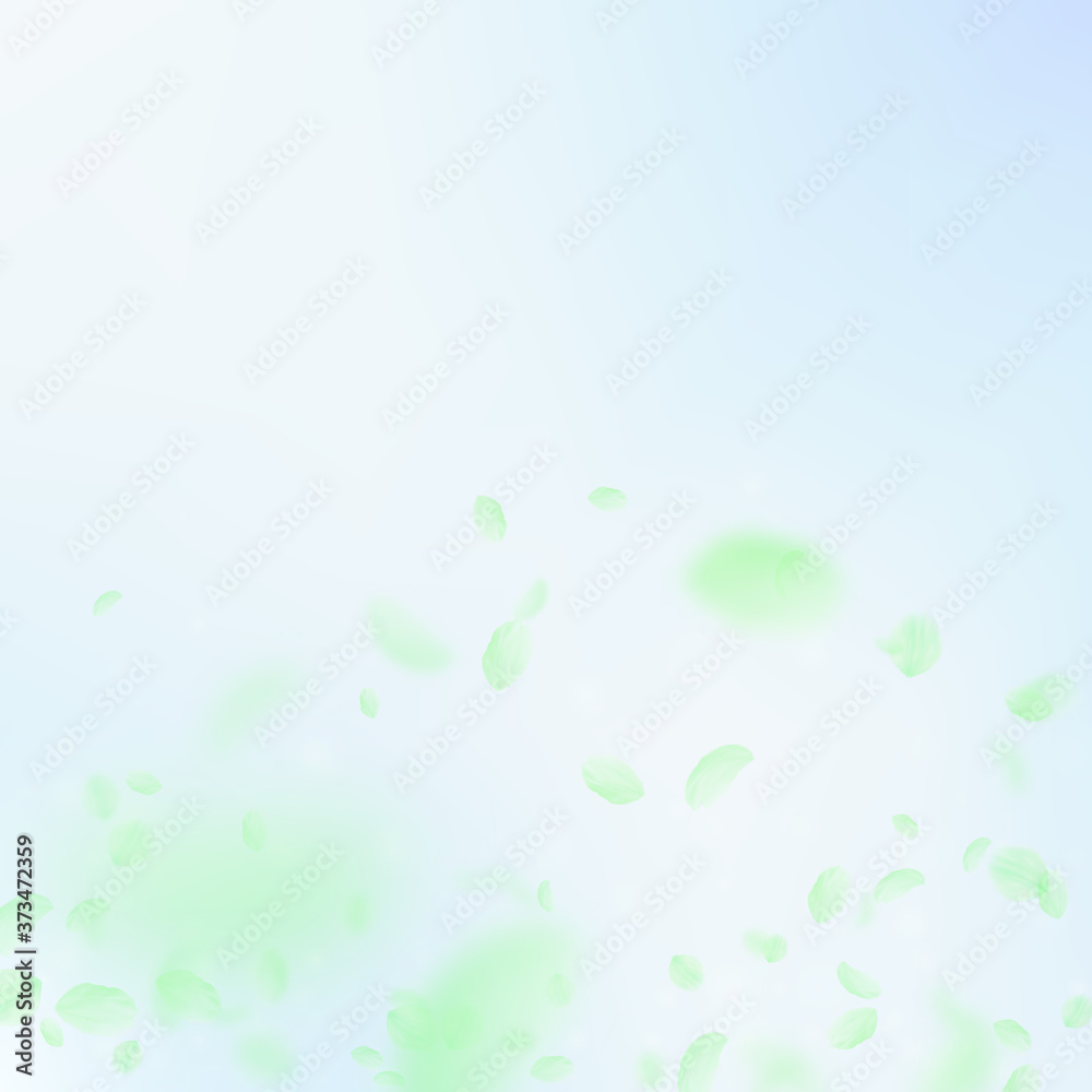 Green flower petals falling down. Exceptional roma Green flower petals falling down. Exceptional roma
