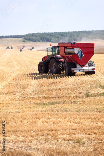 Tractor and combine harvesters working on a wheat field. Harvesting the wheat. Agriculture machinery.