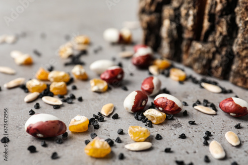 Mixed vegetable seeds on grey background, closeup