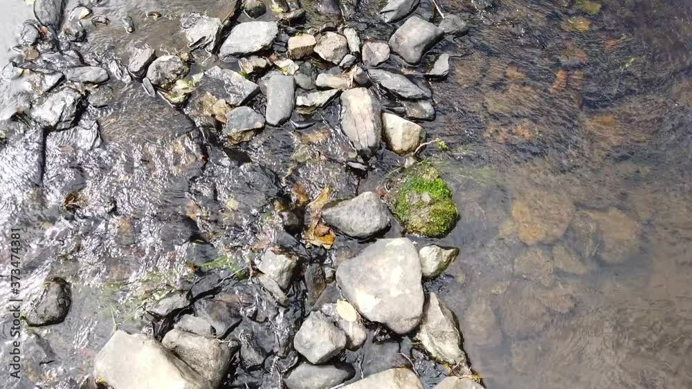 Belgique Wallonie Ardenne eau environnement flore cailloux pierre