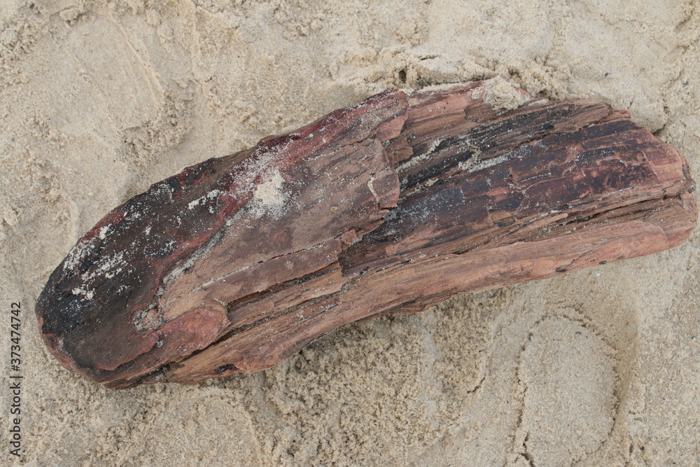 Φωτογραφία Close up view of large dry piece of ancient wooden brown textured old driftwood