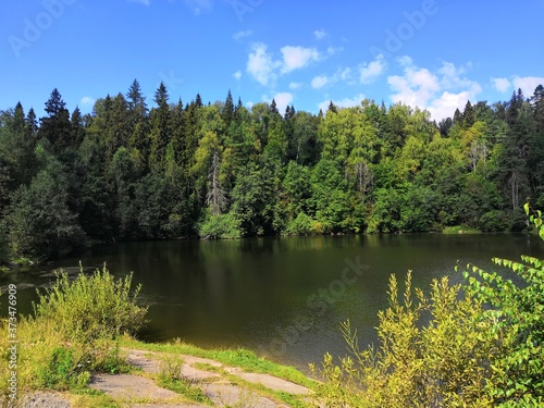 lake in the forest