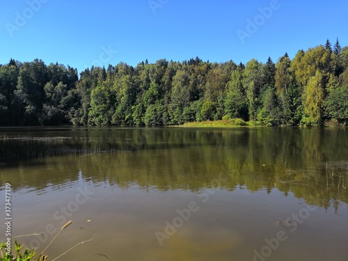 lake in the forest