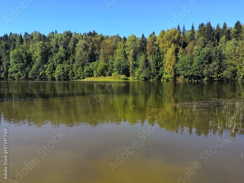 lake in the woods