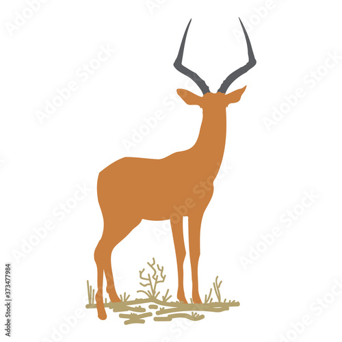 Impala