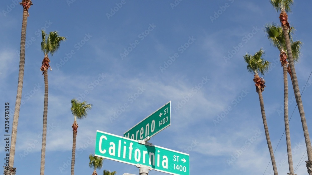 Fototapeta premium California street road sign on crossroad. Lettering on intersection signpost, symbol of summertime travel and vacations. USA tourist destination. Text on nameboard in city near Los Angeles, route 101