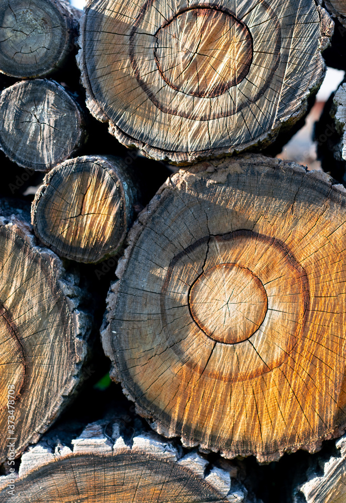 large logs stacked on top of each other close-up large logs stacked on top of each other close-up
