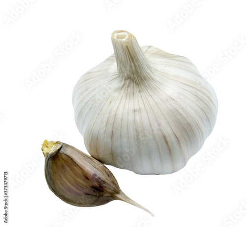 Head of garlic and one seed photo