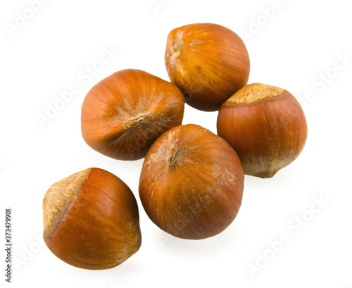 Some hazelnuts, very close