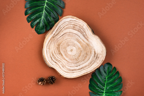 Wooden cross section cut with monstera leaves on brown surface. Showcase for cosmetic products. Natural organic eco-friendly beauty product concept. Overhead view, mockup. Product advertisement