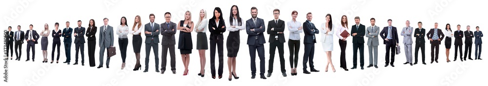panoramic photo of a group of confident business people. panoramic photo of a group of confident business people.
