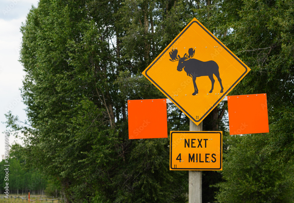 View of a moose crossing sign on the road in Grand Teton National Park in Wyoming, United States