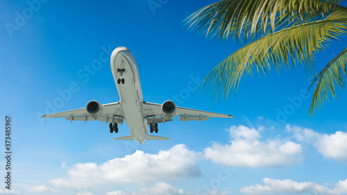 Passenger plane landing at tropical resort