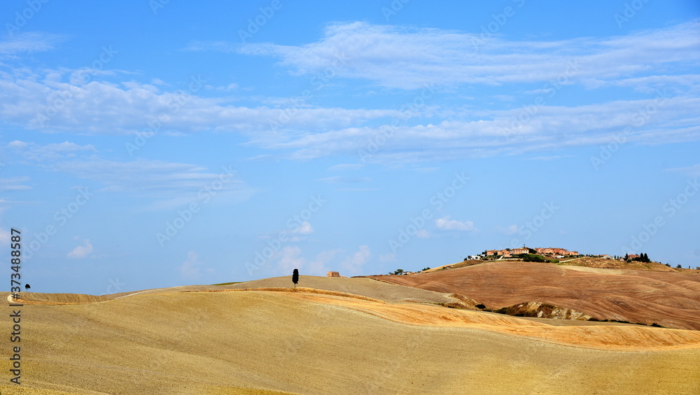 Einsamer Baum in der Weite der Crete Senesi Einsamer Baum in der Weite der Crete Senesi