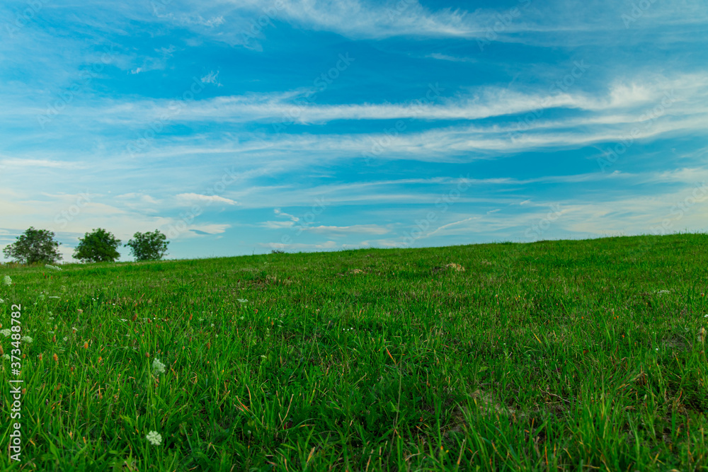 soft focus idyllic green grass field scenic view horizon background with trees and blue sky scenic view