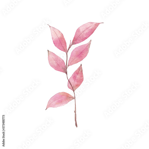 Paint from hand drawn watercolor pink leaves. Use for design  menu  decoration