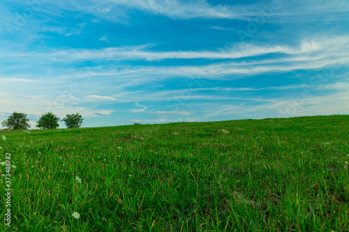 soft focus idyllic green grass field scenic view horizon background with trees and blue sky scenic view