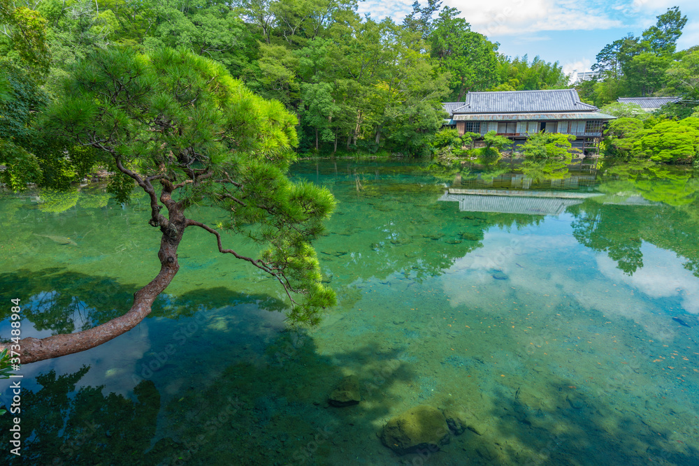 Obraz premium 楽寿園 小浜池 珍しい満水