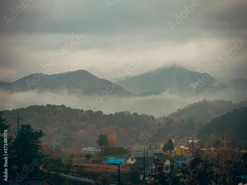 morning fog in the mountains