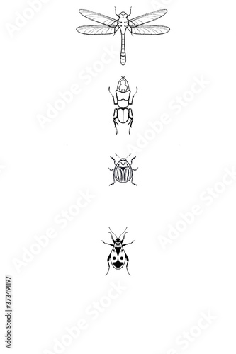 насекомые черно-белый © Фарида Галеева