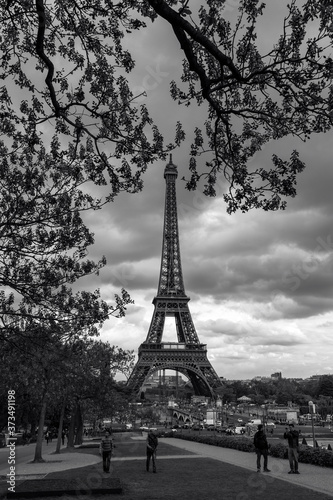 Fototapeta Naklejka Na Ścianę i Meble -   Eiffel Tower, Paris, France 