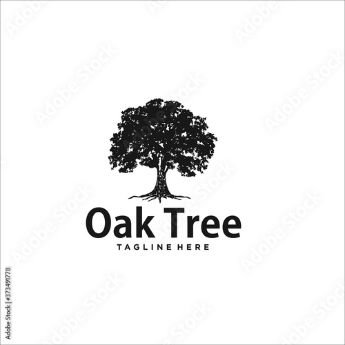 oak tree logo design template silhouette vector