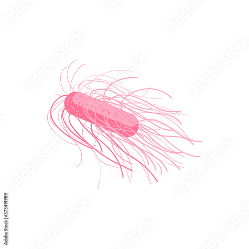 Pathogen flagellum bacteria microorganism. Bacterial germ, virus, epidemic pathogenic cell, protozoa, disease causing object, medical healthcare vector illustration isolated on white background