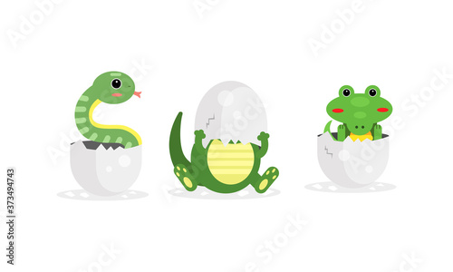 Cute Reptile Hatching from Cracked Egg Vector Set