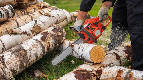 Man in gloves is sawing a tree trunk with a chainsaw. Birch, power saw, sawdust.