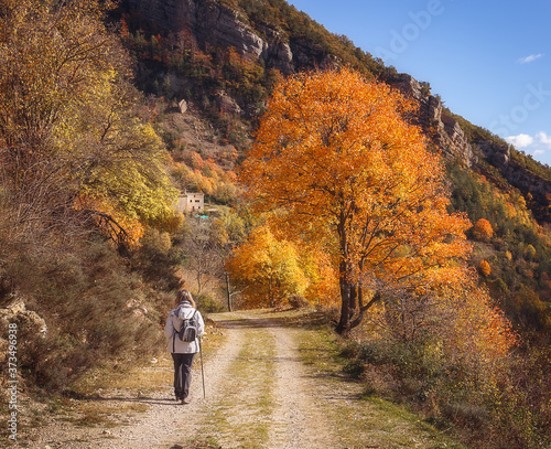 Woman Hiking in Woodland in Autumn