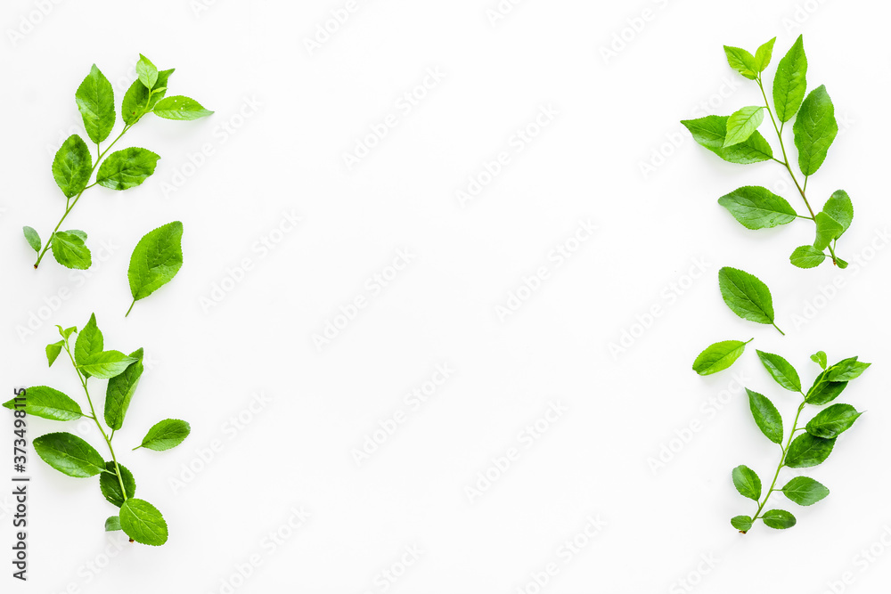 Top view frame of green leaves. Nature concept layout Top view frame of green leaves. Nature concept layout